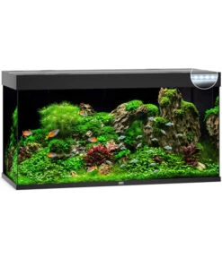 JUWEL® AQUARIUM Rio 350 LED