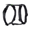 HUNTER® Hundegeschirr Ecco Sport Vario Rapid, S -Garten im Freien 1566116 WE FS 001 HunterVarioRapidSchwarz