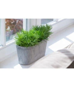 Artstone Kunststoff-Balkonkasten Claire -Garten im Freien 1676006 WE MO 003 KunststoffTopfClairegrau