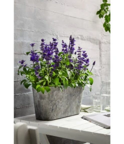 Artstone Kunststoff-Balkonkasten Claire -Garten im Freien 1676006 WE MO 006 ArtstoneKunststoffKastenClaire