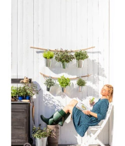 Dehner Gourmet Garten Zitronenmelisse -Garten im Freien 20181011 PR MO 003 Kraeuter 01