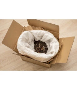 Neudorff Bestell-Set Kompostwürmer -Garten im Freien 2027043 WE DE 002 Neudorff BestellsetKompostwuermer