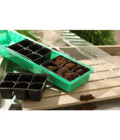 Dehner Zimmergewächshaus Frans, 54 X 15 X 12 Cm 8 Dehner Zimmergewächshaus Frans, 54 X 15 X 12 Cm -Garten im Freien 207456 BildM 001 RombergZimmergewaechshausFransFensterbGewH54X15x12