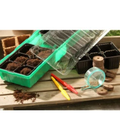 Dehner Zimmergewächshaus Frans, 54 X 15 X 12 Cm 9 Dehner Zimmergewächshaus Frans, 54 X 15 X 12 Cm -Garten im Freien 207456 BildM 002 RombergZimmergewaechshausFransFensterbGewH54X15x12