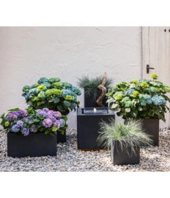 Dehner Leichtbeton-Kasten Manchester, Rechteckig -Garten im Freien 2368363 2368371 WE MO 001 LeichtbetonKastenClayfibrerechteckiggraphit