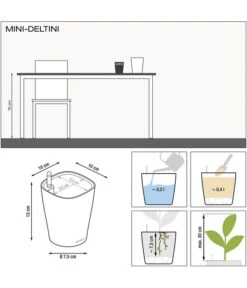 LECHUZA® DELTINI, All-in-One-Set -Garten im Freien 2425130 WE DE 001 MiniDeltiniGrafik10