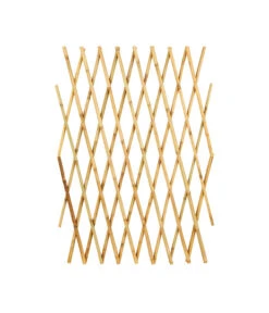 Variables Bambusspalier