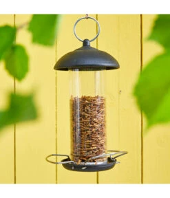 Dehner Natura Futtersäule, Metall, Klein 7 Dehner Natura Futtersäule, Metall, Klein -Garten im Freien 2514966 PR MO 001 MehlwuermerFuttersaeuleGC11 1942861