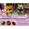 Thompson & Morgan Samen 'Wildblumen-Collection' -Garten im Freien 2531705 WE FS 001 ThompsonMorganWildblumenCollection