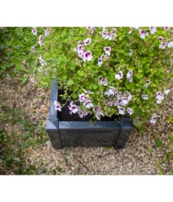 KHW Kunststoff-Pflanzkasten, 43 X 43 X 41 Cm -Garten im Freien 2549376 WE DE 006 Kasten43cmanthrazit