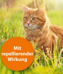 ARDAP® Zecken- Und Flohschutz Spot-On Für Katzen Bis 4 Kg, 3 X 0,4 Ml -Garten im Freien 2599249 WE DE 002 ArdapQuikoKZbhSpotOn4kg