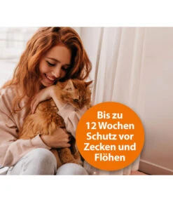 ARDAP® Zecken- Und Flohschutz Spot-On Für Katzen Bis 4 Kg, 3 X 0,4 Ml -Garten im Freien 2599249 WE DE 003 ArdapQuikoKZbhSpotOn4kg