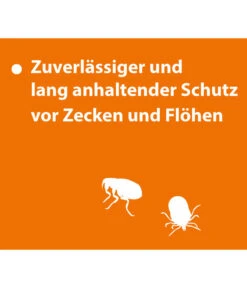 ARDAP® Zecken- Und Flohschutz Spot-On Für Katzen Bis 4 Kg, 3 X 0,4 Ml -Garten im Freien 2599249 WE DE 004 ArdapQuikoKZbhSpotOn4kg