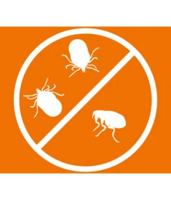 ARDAP® Zecken- Und Flohschutz Spot-On Für Katzen Bis 4 Kg, 3 X 0,4 Ml -Garten im Freien 2599249 WE DE 005 ArdapQuikoKZbhSpotOn4kg