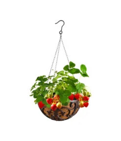 Dehner Gusseisen-Hängeampel Katalonien Mit Kokoseinlage, Rund, Rost, Ca. Ø30/H15 Cm 9 Dehner Gusseisen-Hängeampel Katalonien Mit Kokoseinlage, Rund, Rost, Ca. Ø30/H15 Cm -Garten im Freien 2745461 WE MO 001 GusseisenHaengeampel30cm