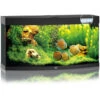 JUWEL® AQUARIUM Vision 260 LED -Garten im Freien 2750750 WE FS 001 Juwel260VisonSchwarz