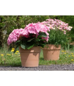 Spang Terrakotta-Pflanzgefäß Calima -Garten im Freien 2919595 2919652 2919694 2919736 2919835 2919843 WE FS 001 TerrakottaTopfCalimaantik