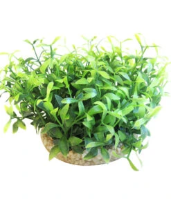 Sydeco Kit Kombi 2, Kunstpflanzen, 5 Stück -Garten im Freien 2999068 WE D 004 SydecoKitKombi2