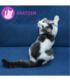 FELIWAY® Alltagshelfer Classic Start-Set 12 FELIWAY® Alltagshelfer Classic Start-Set -Garten im Freien 3019957 WE M 002 neuCevaFeliwayClassicStarterSet