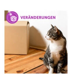 FELIWAY® Alltagshelfer Classic Start-Set 11 FELIWAY® Alltagshelfer Classic Start-Set -Garten im Freien 3019957 WE M 003 neuCevaFeliwayClassicStarterSet