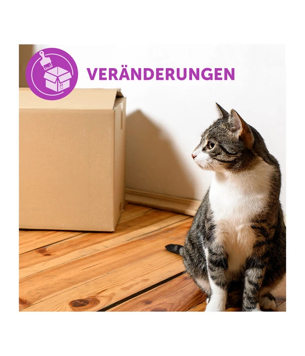 FELIWAY® Alltagshelfer Classic Start-Set 5 FELIWAY® Alltagshelfer Classic Start-Set – Bild 3