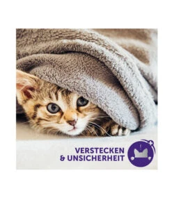 FELIWAY® Alltagshelfer Classic Start-Set 10 FELIWAY® Alltagshelfer Classic Start-Set -Garten im Freien 3019957 WE M 005 neuCevaFeliwayClassicStarterSet