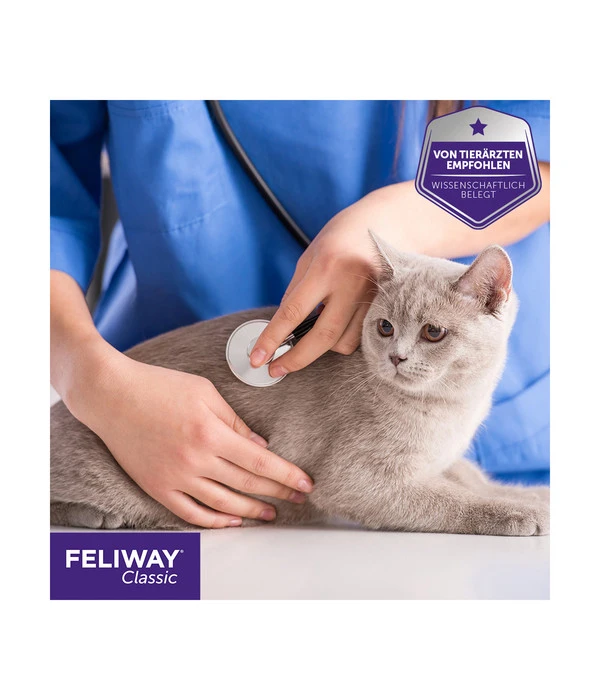 FELIWAY® Alltagshelfer Classic Start-Set 8 FELIWAY® Alltagshelfer Classic Start-Set – Bild 6
