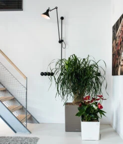 LECHUZA® CUBE, All-in-One Set 14 LECHUZA® CUBE, All-in-One Set -Garten im Freien 3179850 3179637 WE MO 008 CubePremiumWeissTaupe