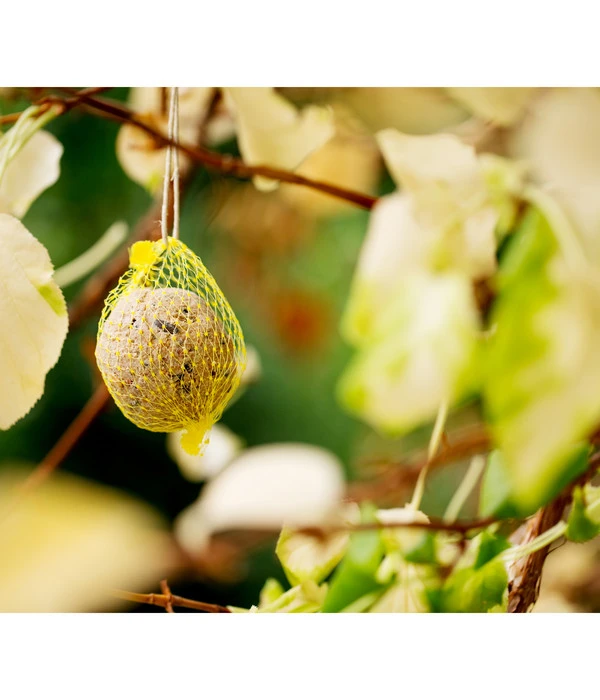 Dehner Natura Meisen-Knödel 4 Dehner Natura Meisen-Knödel – Bild 2