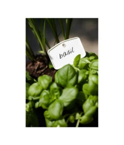 Elho Pflanz-Stift, 5 Stück -Garten im Freien 3266806 MO FS 001 PflanzstiftMweissElhoEtikett