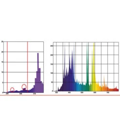 Lucky Reptile Bright Sun UV Desert -Garten im Freien 3487295 WE D 004 LuckyReptileBrightSunUVDesert50Watt