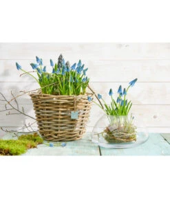 Rattan-Topf, Rund, Grau-braun -Garten im Freien 3679347 3679362 3679578 WE MO 001 RattanTopfrundbraun