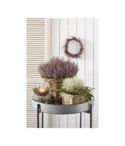Rattan-Topf, Rund, Grau-braun -Garten im Freien 3679347 3679362 3679578 WE MO 002 Rattantopf