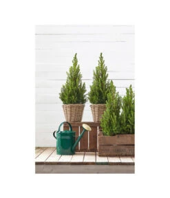 Rattan-Topf, Rund, Grau-braun -Garten im Freien 3679347 3679362 3679578 WE MO 003 Rattantopf