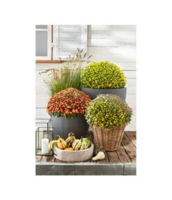 Rattan-Topf, Rund, Grau-braun -Garten im Freien 3679347 3679362 3679578 WE MO 012 RattanTopfrundbraun