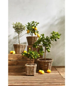 Rattan-Topf, Rund, Grau-braun -Garten im Freien 3679347 3679362 3679578 WE MO 021 RattanTopfrundbraun