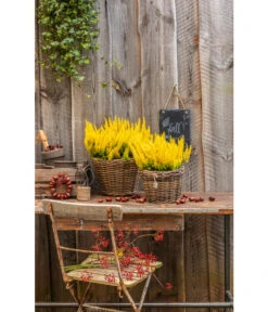 Rattan-Topf, Rund, Grau-braun -Garten im Freien 3679347 3679362 3679578 WE MO 022 RattanTopfrundbraun