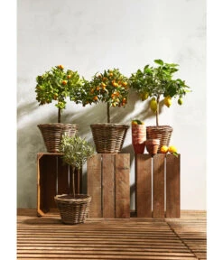 Rattan-Topf, Rund, Grau-braun -Garten im Freien 3679347 3679362 3679578 WE MO 023 RattanTopfrundbraun
