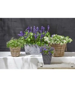 Artstone Kunststoff-Balkonkasten Claire -Garten im Freien 3679347 5369905 1676006 WE MO 001 RattantopfArtstoneKunststoffTopfKastenClaire