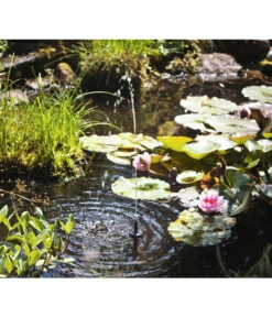 Esotec Solarpumpe Palermo LED Für Den Gartenteich -Garten im Freien 3923687 BildM 001 EsotecGartenteichSolarpumpePalermoLedSolarpumpensyPalermoLed