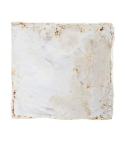 Pilzmännchen Bio Pilzzuchtset Austernpilz 7 Pilzmännchen Bio Pilzzuchtset Austernpilz -Garten im Freien 3940285 BildD 002 PilzmaennchenBioHomePilzzuchtsetAusternpilzPilzbrutAusternpilzSet