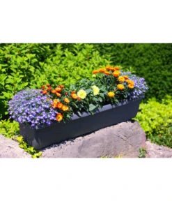 Geli Kunststoff-Blumenkasten Aqua Andalucia -Garten im Freien 3955739 WE MO 001 GeliKunststoffBlumenkastenAquaAndaluciamitLangzeitbewaesseungssystem