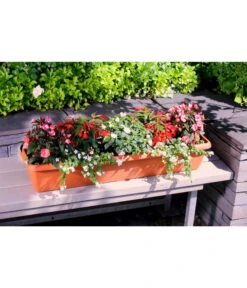 Geli Kunststoff-Blumenkasten Aqua Andalucia -Garten im Freien 3955739 WE MO 002 GeliKunststoffBlumenkastenAquaAndaluciamitLangzeitbewaesseungssystem