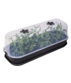 Elho Anzuchthaube L -Garten im Freien 4026704 WE FS 002 ElhoAnzuchthaubeAnzuchthausTransparent