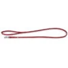 Das Lederband Hundeleine Olivvia Barcelona Indian-Red