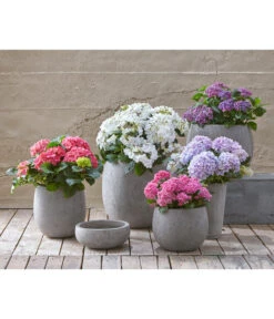 Dehner Leichtbeton-Schale Balloon Stone, Grau 13 Dehner Leichtbeton-Schale Balloon Stone, Grau -Garten im Freien 4058046 4058087 4057972 WE MO 004 DehnerLeichtbetonTopfPflanztopfPflanzvase