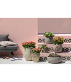 Dehner Leichtbeton-Schale Balloon Stone, Grau 15 Dehner Leichtbeton-Schale Balloon Stone, Grau -Garten im Freien 4058046 4058087 4057972 WE MO 005 DehnerLeichtbetonTopfBalloon