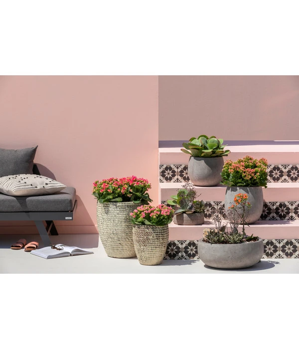 Dehner Leichtbeton-Schale Balloon Stone, Grau 8 Dehner Leichtbeton-Schale Balloon Stone, Grau – Bild 6