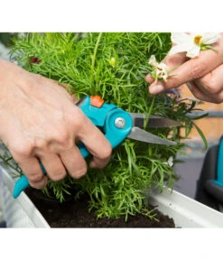 GARDENA City Gardening Balkonschere -Garten im Freien 4058293 WE MO 001 GARDENABalkonschere