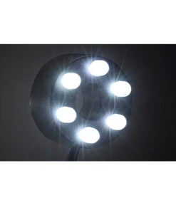 Dehner Brunnen-LED Mit 1 Meter Kabel, Kaltweiß 7 Dehner Brunnen-LED Mit 1 Meter Kabel, Kaltweiß -Garten im Freien 4067245 WE DE 002 LEDmit1MeterKabelkaltweissBrunnenersatzteil